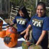 Geraldine Deleon and Laura de la Torre placing pumpkins out to dry after painting.